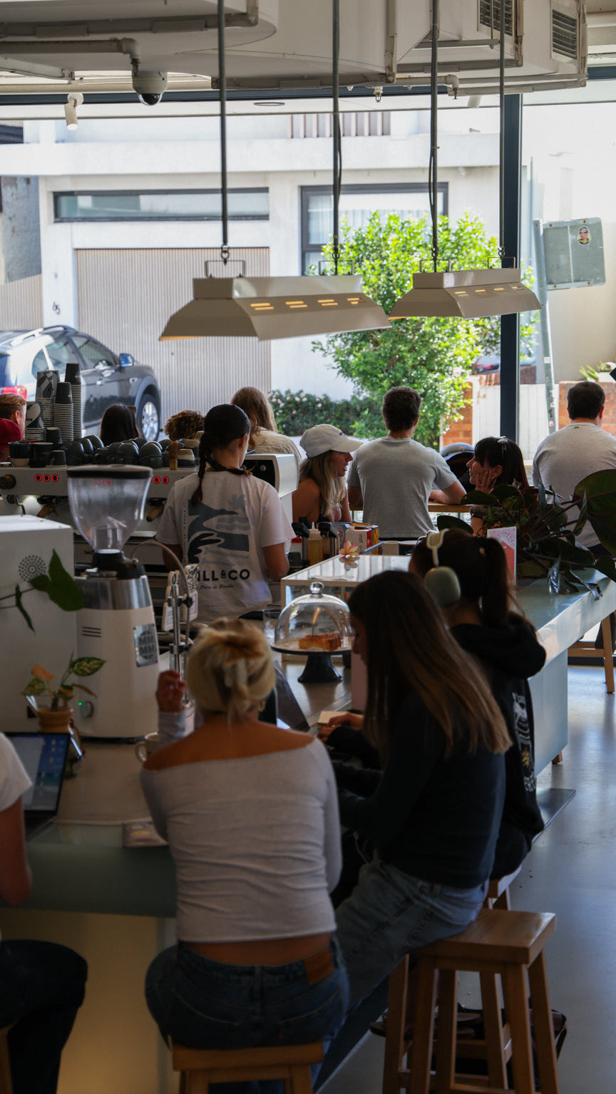 Cala Jewellery Workshop: Create your own jewellery at Will & Co!