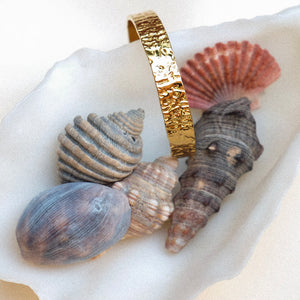Sarah Cuff
